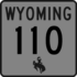 WY110