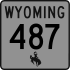 WY487